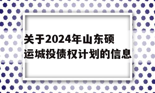 关于2024年山东硕运城投债权计划的信息