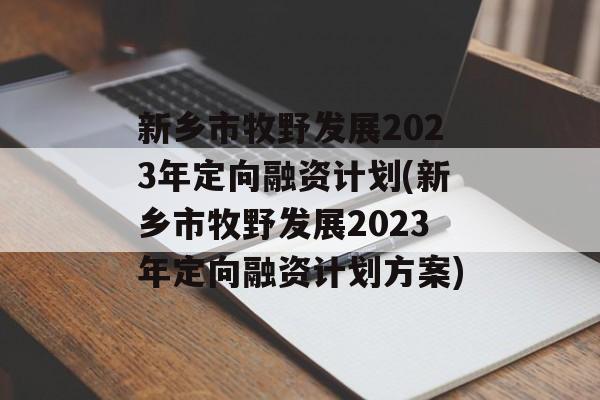 新乡市牧野发展2023年定向融资计划(新乡市牧野发展2023年定向融资计划方案)