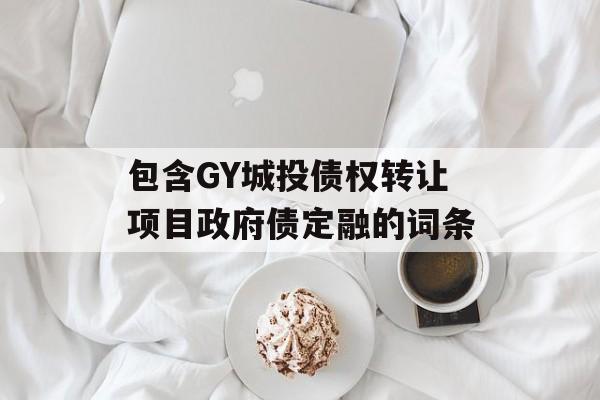 包含GY城投债权转让项目政府债定融的词条