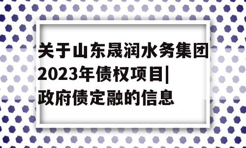 关于山东晟润水务集团2023年债权项目|政府债定融的信息