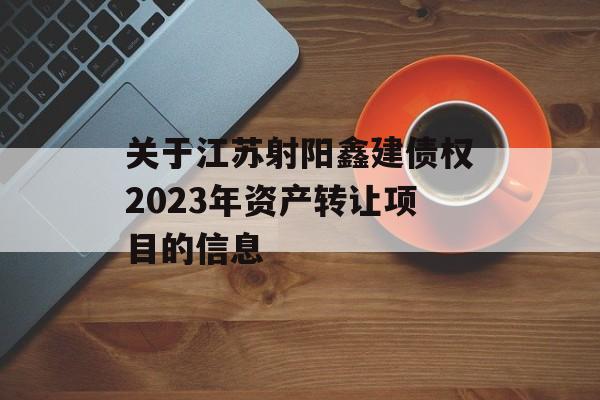 关于江苏射阳鑫建债权2023年资产转让项目的信息