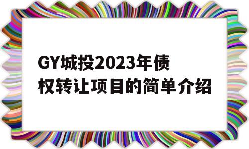 GY城投2023年债权转让项目的简单介绍