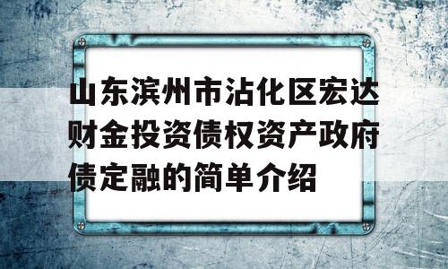 山东滨州市沾化区宏达财金投资债权资产政府债定融的简单介绍