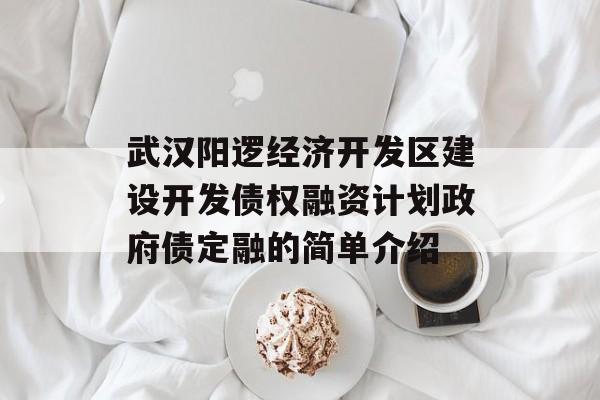 武汉阳逻经济开发区建设开发债权融资计划政府债定融的简单介绍