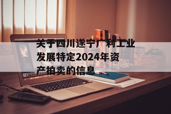 关于四川遂宁广利工业发展特定2024年资产拍卖的信息