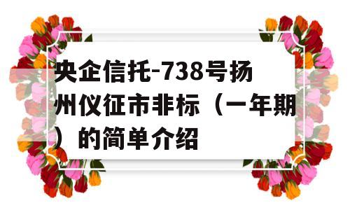 央企信托-738号扬州仪征市非标（一年期）的简单介绍