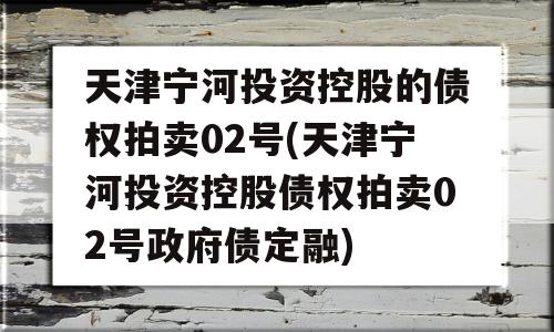 天津宁河投资控股的债权拍卖02号(天津宁河投资控股债权拍卖02号政府债定融)