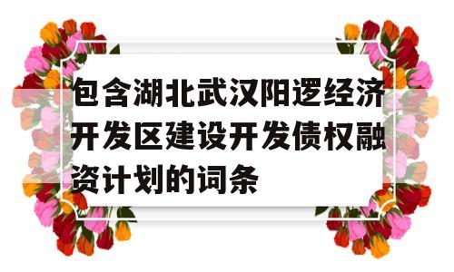 包含湖北武汉阳逻经济开发区建设开发债权融资计划的词条