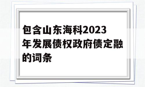 包含山东海科2023年发展债权政府债定融的词条