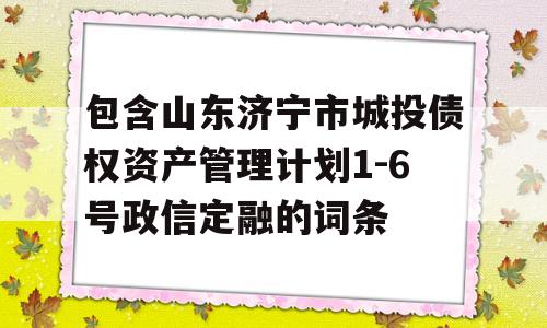 包含山东济宁市城投债权资产管理计划1-6号政信定融的词条