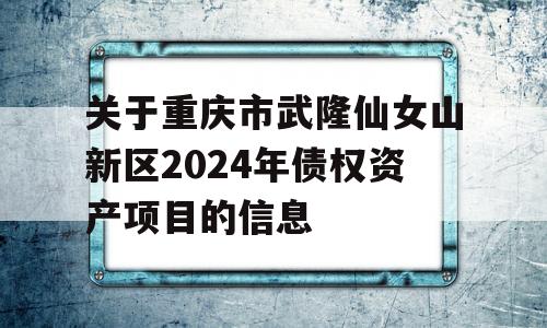 关于重庆市武隆仙女山新区2024年债权资产项目的信息