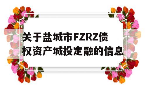 关于盐城市FZRZ债权资产城投定融的信息