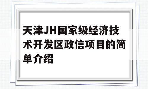 天津JH国家级经济技术开发区政信项目的简单介绍