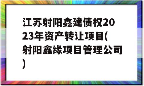 江苏射阳鑫建债权2023年资产转让项目(射阳鑫缘项目管理公司)