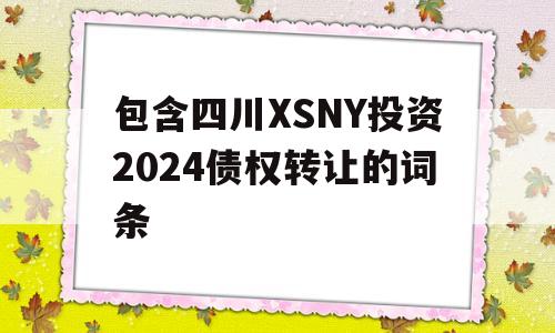 包含四川XSNY投资2024债权转让的词条