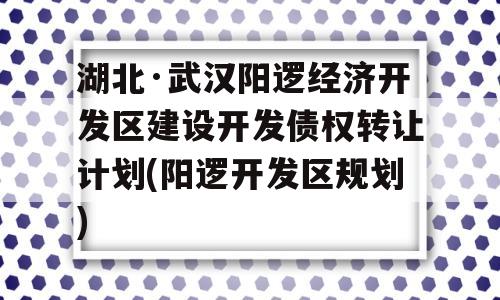 湖北·武汉阳逻经济开发区建设开发债权转让计划(阳逻开发区规划)