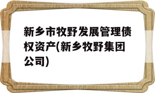 新乡市牧野发展管理债权资产(新乡牧野集团公司)