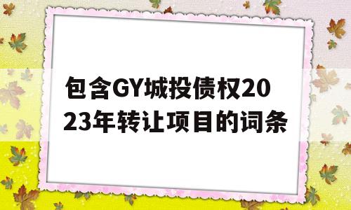 包含GY城投债权2023年转让项目的词条