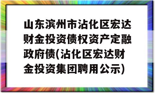 山东滨州市沾化区宏达财金投资债权资产定融政府债(沾化区宏达财金投资集团聘用公示)