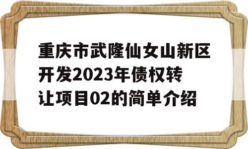 重庆市武隆仙女山新区开发2023年债权转让项目02的简单介绍