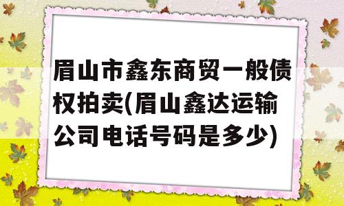 眉山市鑫东商贸一般债权拍卖(眉山鑫达运输公司电话号码是多少)