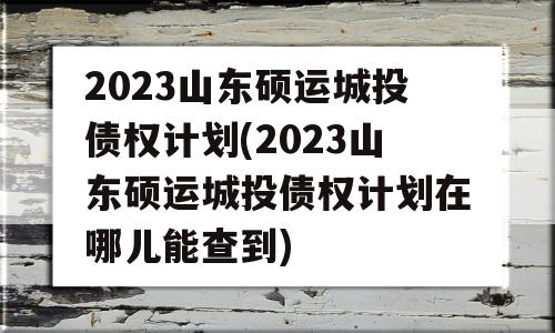 2023山东硕运城投债权计划(2023山东硕运城投债权计划在哪儿能查到)