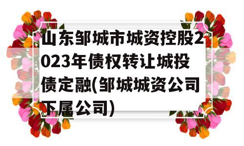 山东邹城市城资控股2023年债权转让城投债定融(邹城城资公司下属公司)