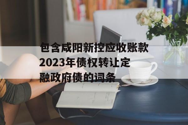 包含咸阳新控应收账款2023年债权转让定融政府债的词条