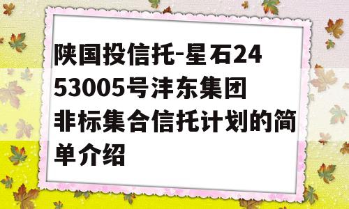 陕国投信托-星石2453005号沣东集团非标集合信托计划的简单介绍