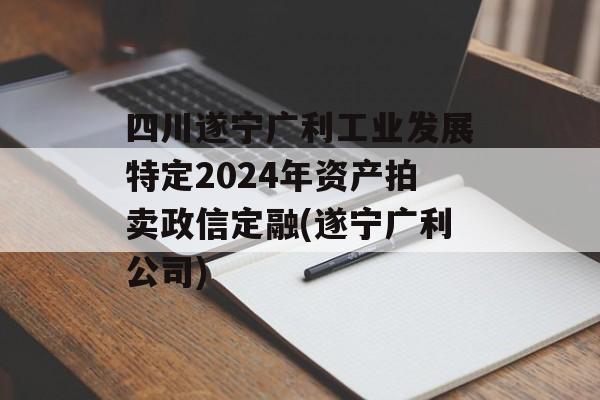 四川遂宁广利工业发展特定2024年资产拍卖政信定融(遂宁广利公司)