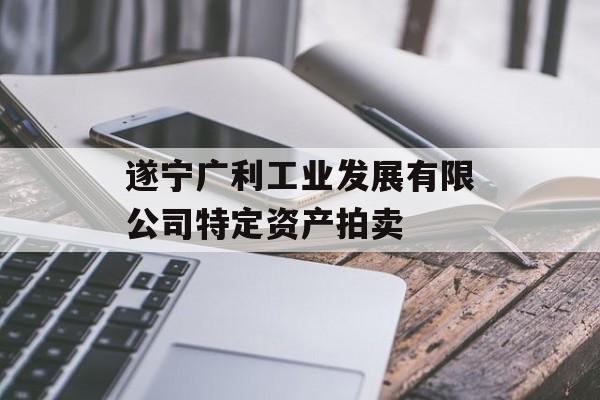 遂宁广利工业发展有限公司特定资产拍卖