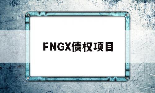 FNGX债权项目