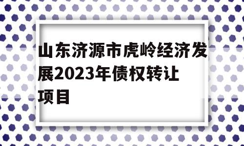 山东济源市虎岭经济发展2023年债权转让项目