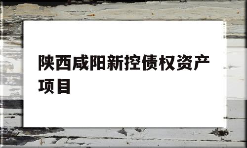 陕西咸阳新控债权资产项目