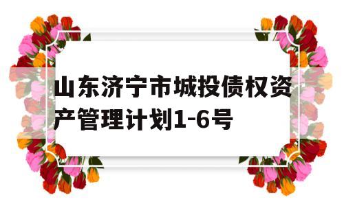 山东济宁市城投债权资产管理计划1-6号