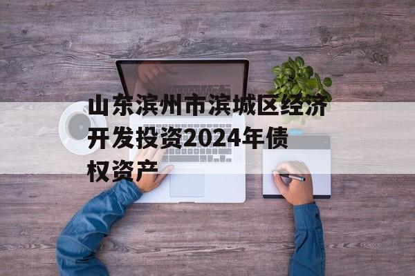 山东滨州市滨城区经济开发投资2024年债权资产