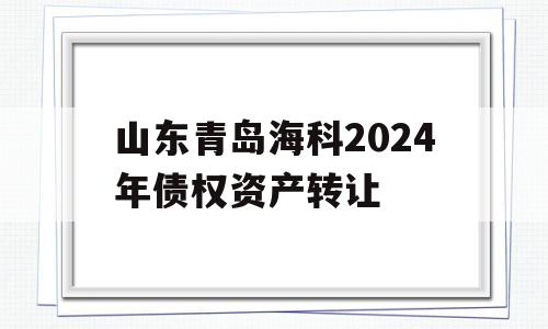 山东青岛海科2024年债权资产转让