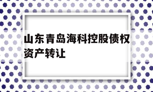 山东青岛海科控股债权资产转让