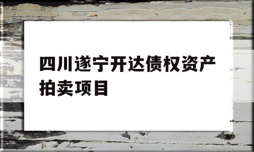 四川遂宁开达债权资产拍卖项目