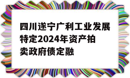 四川遂宁广利工业发展特定2024年资产拍卖政府债定融