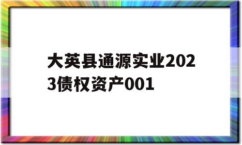 大英县通源实业2023债权资产001