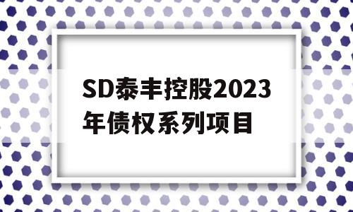 SD泰丰控股2023年债权系列项目