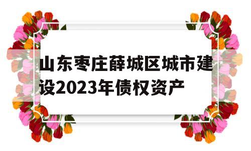 山东枣庄薛城区城市建设2023年债权资产