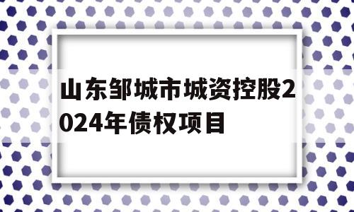 山东邹城市城资控股2024年债权项目