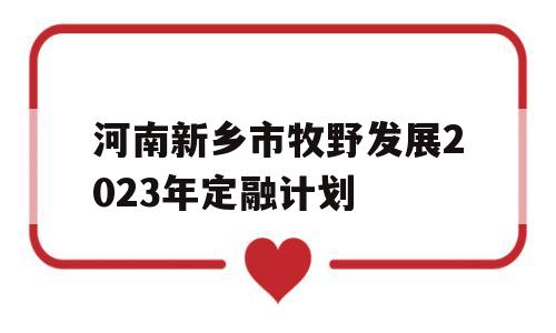 河南新乡市牧野发展2023年定融计划