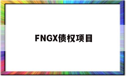 FNGX债权项目