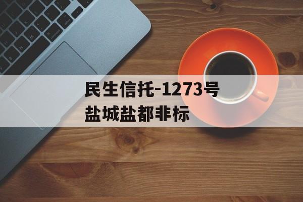 民生信托-1273号盐城盐都非标