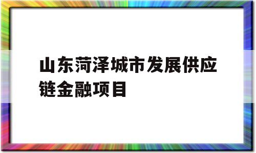 山东菏泽城市发展供应链金融项目