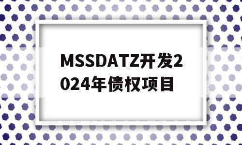 MSSDATZ开发2024年债权项目