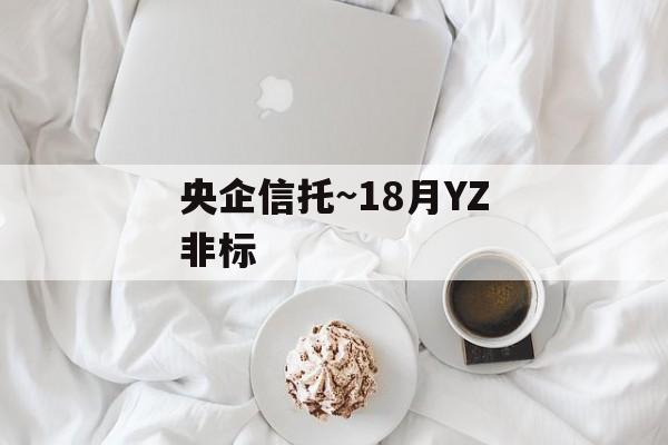 央企信托~18月YZ非标